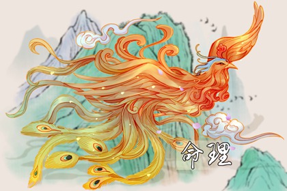 择吉老黄历皇历 择吉黄历每日宜忌 结婚择吉日